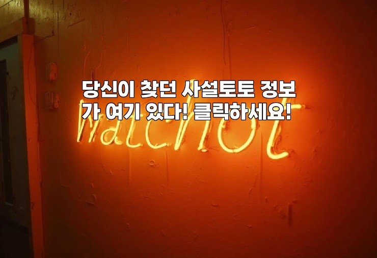 당신이 찾던 사설토토 정보가 여기 있다! 클릭하세요!